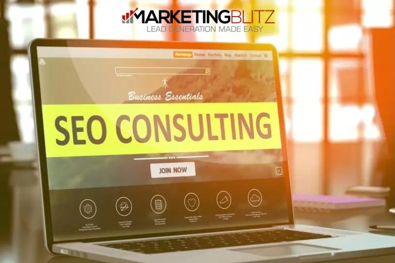 SEO consultant