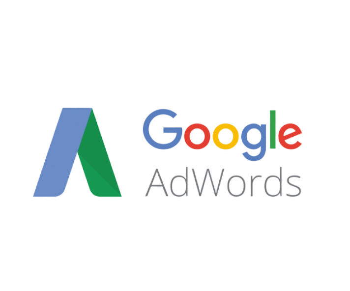 Google Ads Management