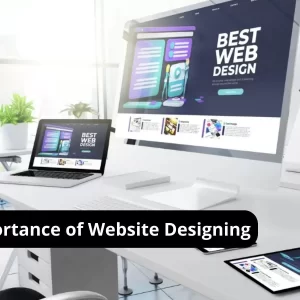 Importance-of-Website-Designing.jpg (1)